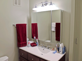 bathoom_505_services Condo Guest Bathroom Remodel - 505 N Lakeshore Dr, Chicago, IL (Lake Point Tower)