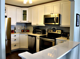 kitchen_gallery Condo Kitchen Remodel - 111 W Maple St, Chicago, IL (Gold Coast)