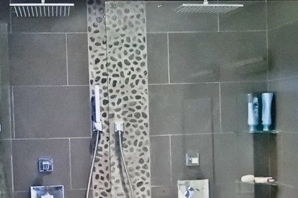Lincoln Park Condo Bathroom Shower Lincoln Park Condo Bathroom Shower After Renovation