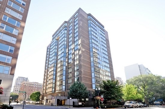 Hanover House Condo Remodel - 21 W Goethe St (Gold Coast)