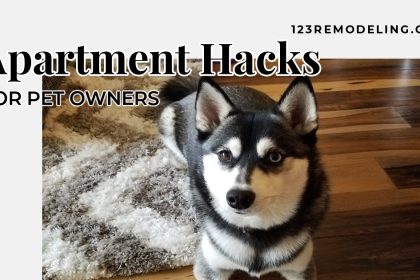 petapartment