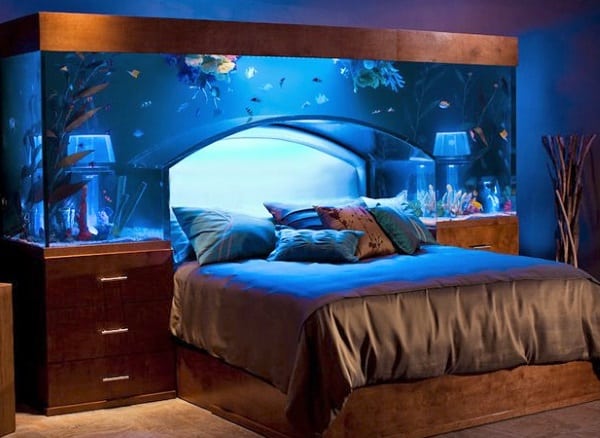 aquarium bed