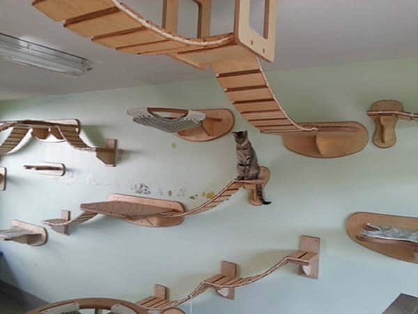 cat transit system