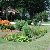 green remodeling rain garden image