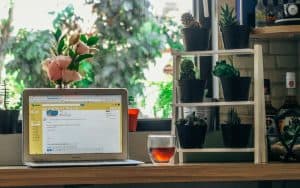 desk with lots of plants