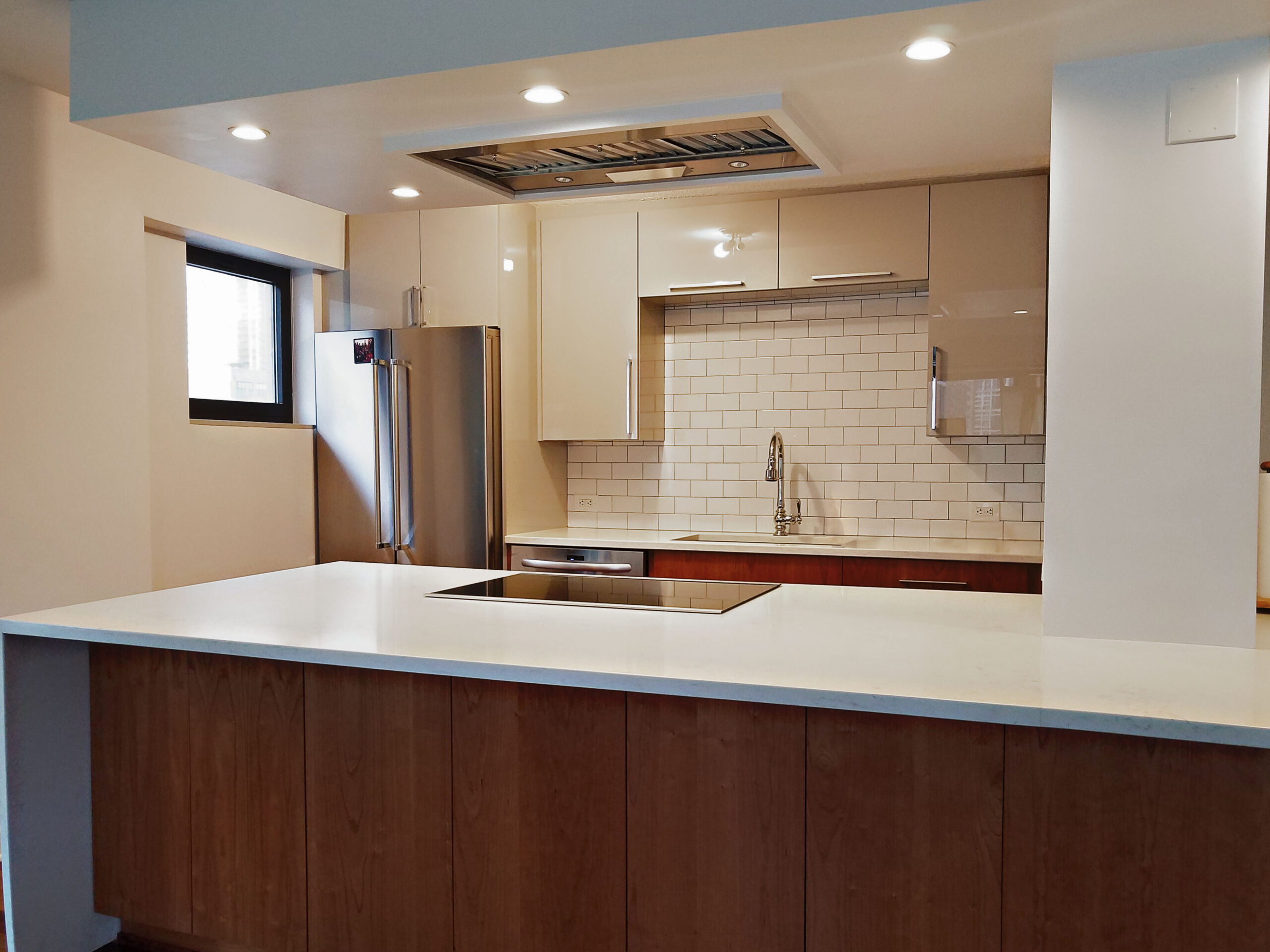 Chicago South Loop Kitchen Remodeling