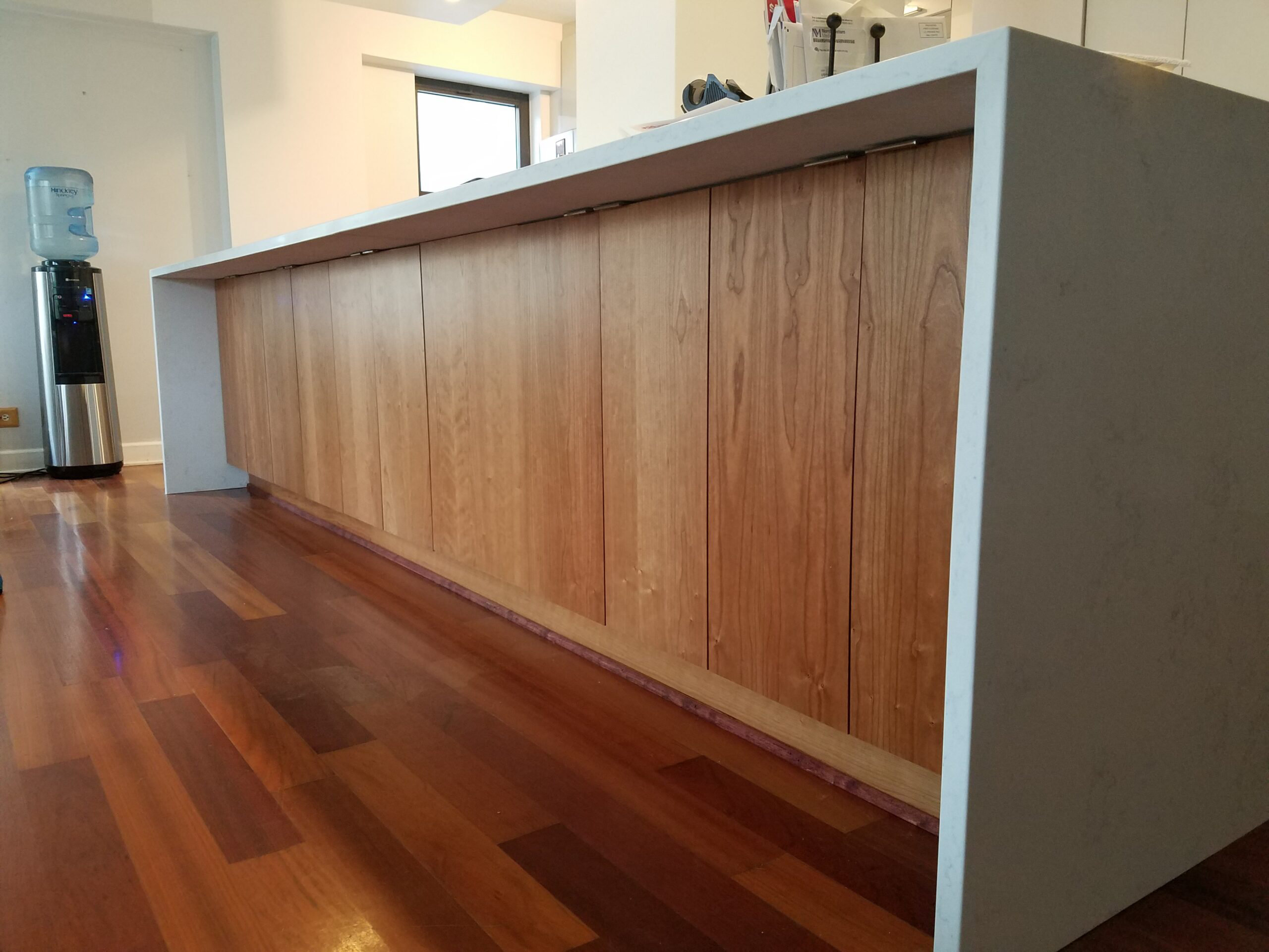 Chicago South Loop Kitchen Remodeling Wood Flooring