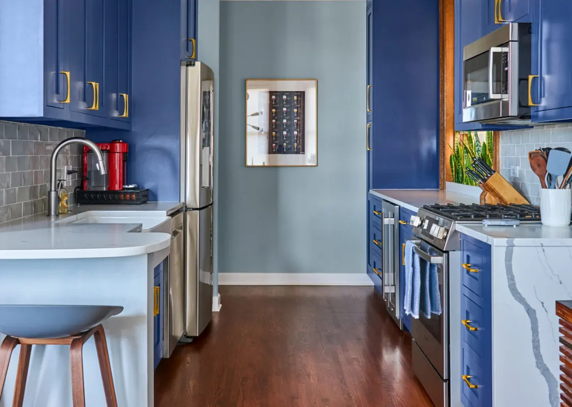 Chicago condo kitchen renovation